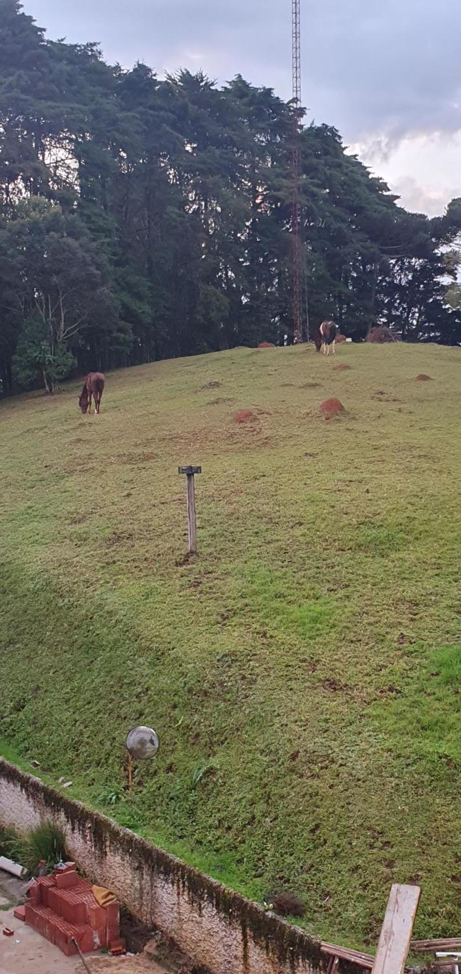 Rural *